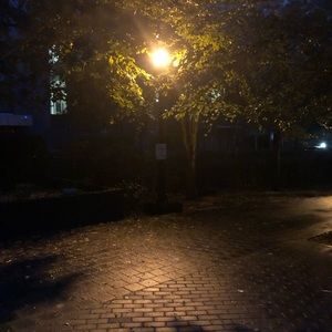 Meet your Posher, Max